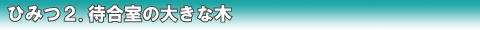�P�D���җl�̋��|�S�����炰��ҍ���