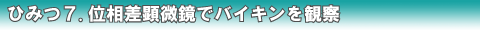 �P�D���җl�̋��|�S�����炰��ҍ���