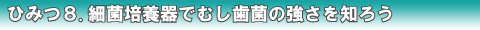 �P�D���җl�̋��|�S�����炰��ҍ���